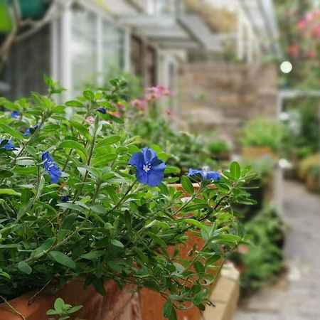 Shenzhen No'6 Garden Villa --French Window With Garden View,Close To Sea World &Shekou Ferry Port &K11 Ecoast &Subway Nearby ,Offer Western Food And Coffee &English Speaking With Tour Services Екстер'єр фото