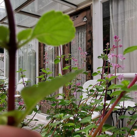 Shenzhen No'6 Garden Villa --French Window With Garden View,Close To Sea World &Shekou Ferry Port &K11 Ecoast &Subway Nearby ,Offer Western Food And Coffee &English Speaking With Tour Services Екстер'єр фото